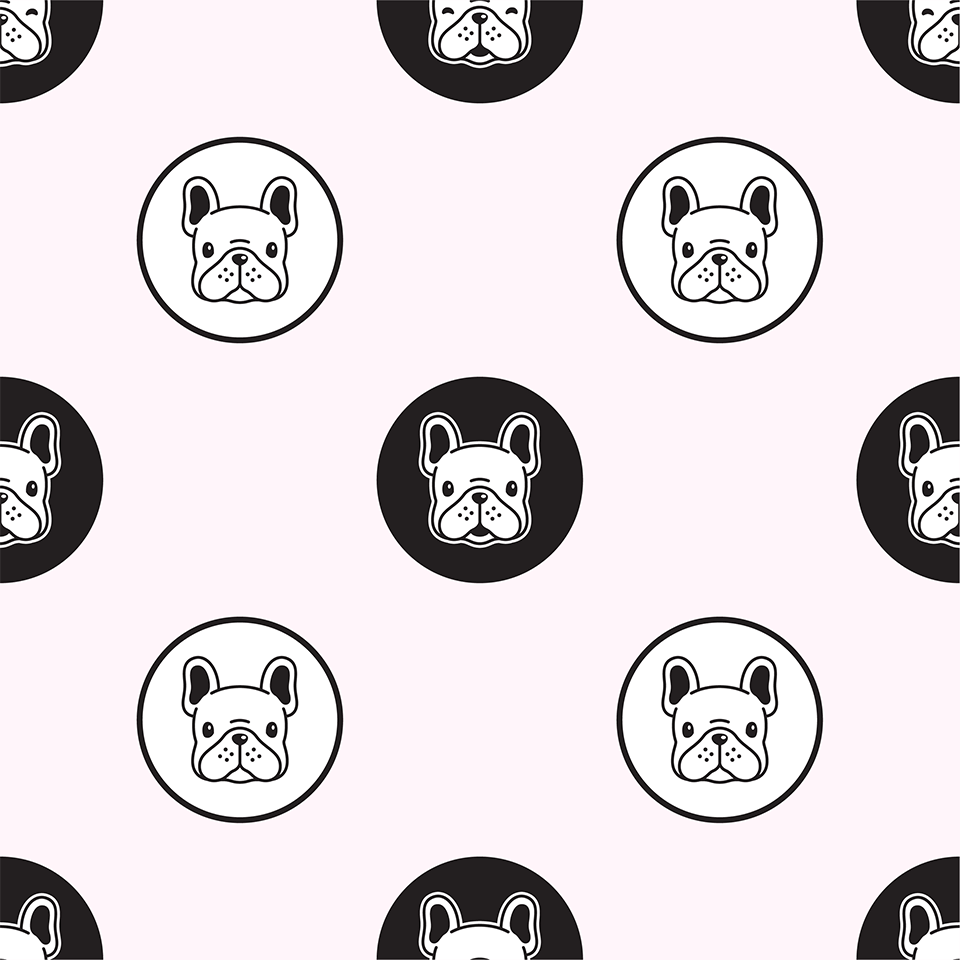 Light pink french bulldogs