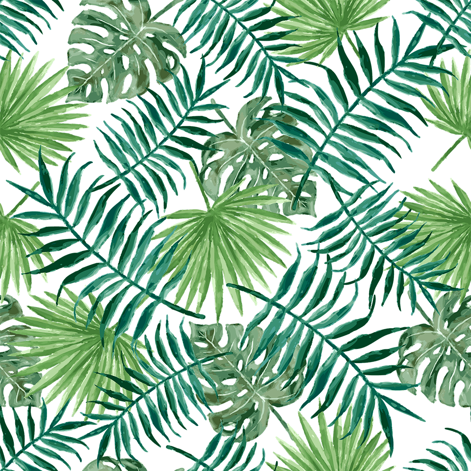 Green ferns